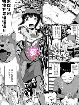 宠物的感觉
